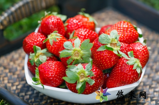 草莓摘下来可以放多久 草莓摘下来怎么保