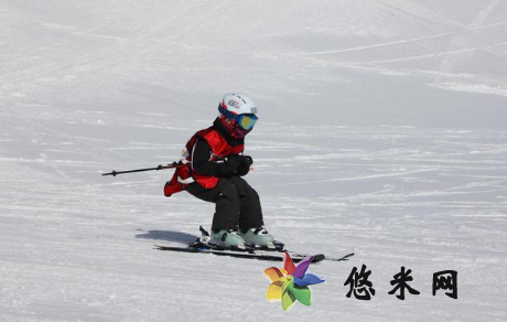 滑雪为什么背乌龟 滑雪用的小乌龟是什么